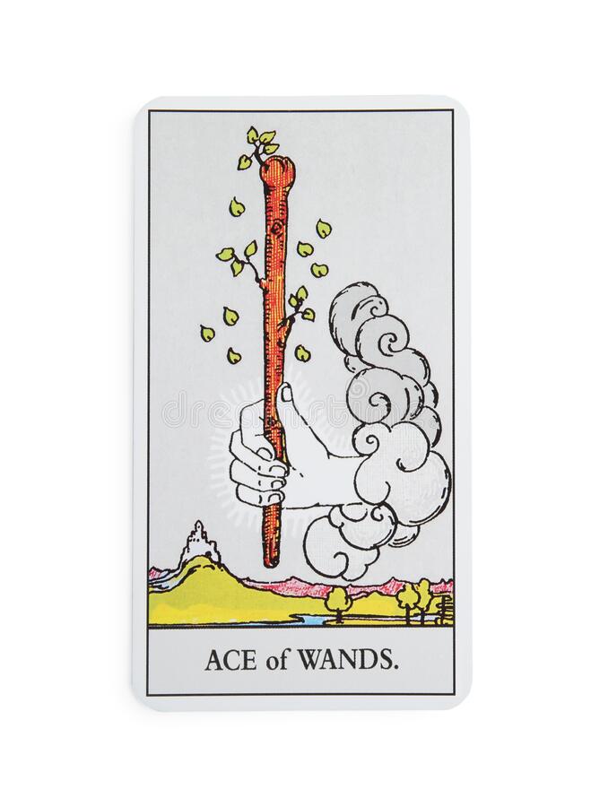 Ace of Wands tarot card